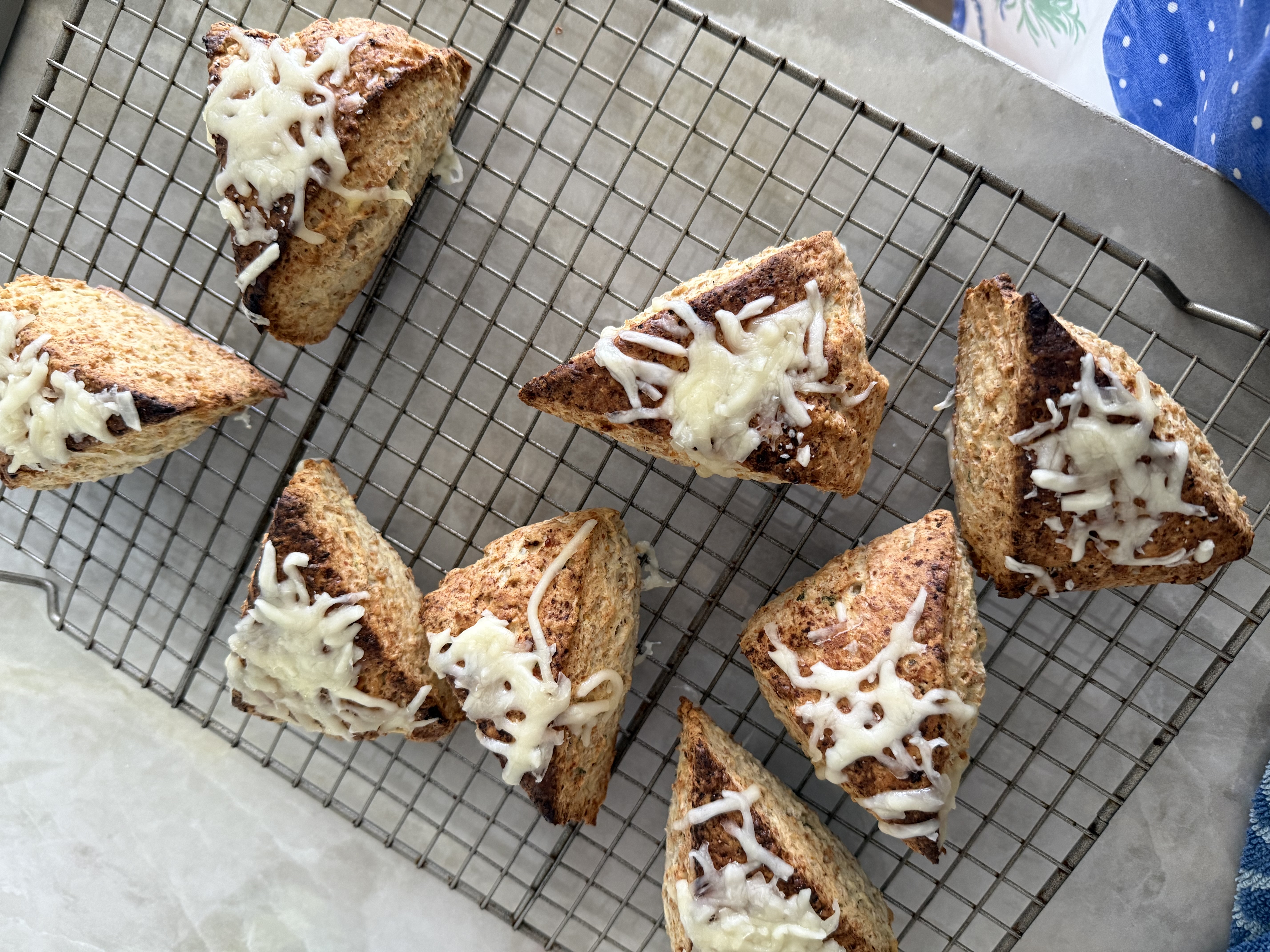 Freshly baked herby ricotta sourdough-discard scones topped with melted cheese