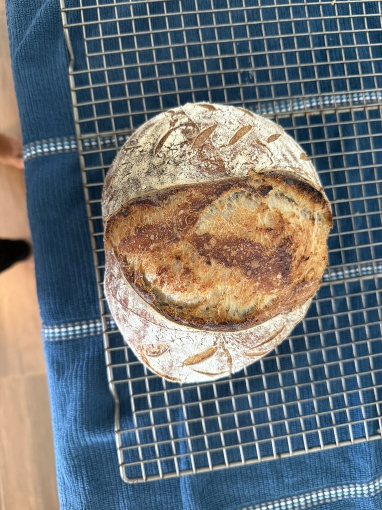 A round sourdough loaf with a bold ear and decorative scoring