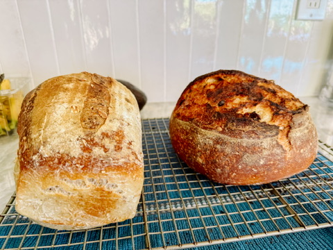 Two homemade loaves cooling side by side, including a pan loaf